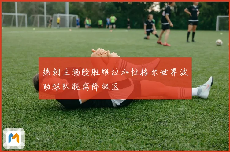 热刺主场险胜维拉加拉格尔世界波助球队脱离降级区